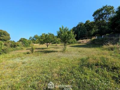 Vente Terrain CARBONNE 31390