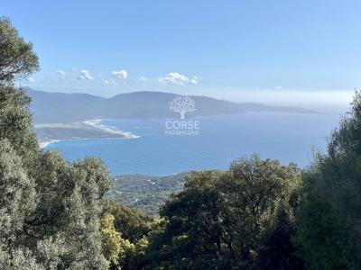 photo For sale House OLMETO 20