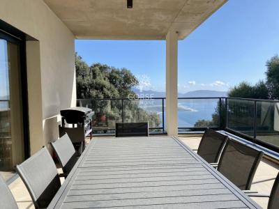 For sale House OLMETO 