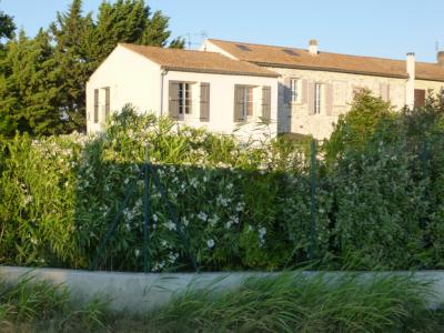 For sale House AVIGNON  84