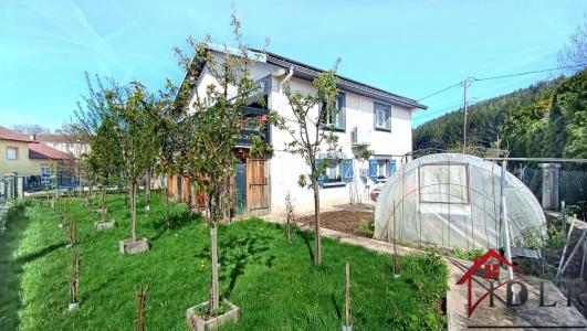 Vente Maison 5 pices AUMONTZEY 88640