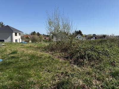 photo For sale Land HOLVING 57