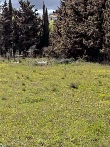 photo For sale Land MARAUSSAN 34