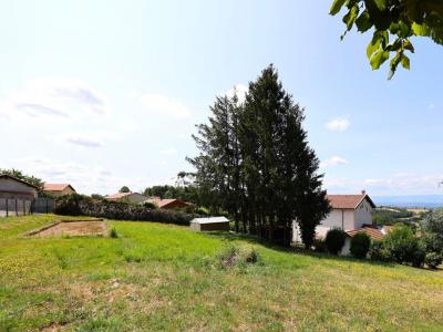 Vente Maison 8 pièces TARARE 69170