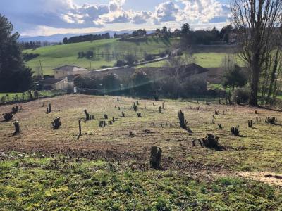 Vente Terrain LIMONEST 69760