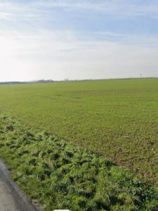 photo For sale Land VILLEDOUX 17