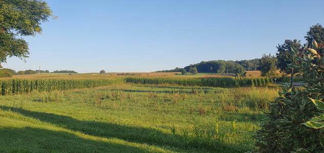 photo For sale Land RANTZWILLER 68