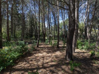 For sale House PLAISSAN 