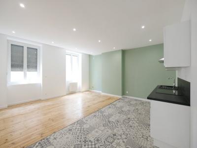 Location Appartement 4 pièces SAINT-ETIENNE 42000