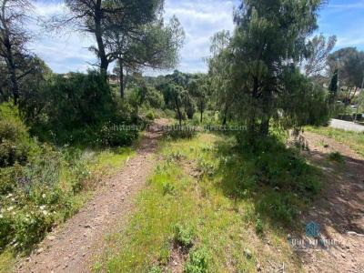 Vente Appartement FREJUS 