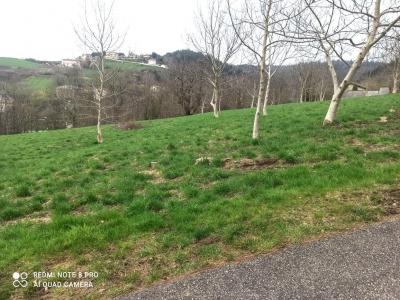 photo For sale Land RICAMARIE 42