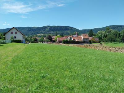Vente Terrain HENGWILLER  67