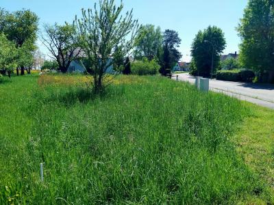 Vente Terrain BERNOLSHEIM  67