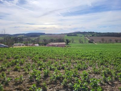 Vente Terrain PUYCASQUIER 32120