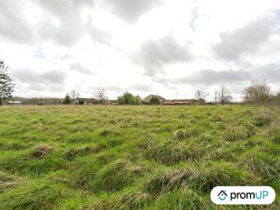 For sale Land VIEUX-RUFFEC  16