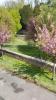 Annonce Location 3 pices Appartement Haraucourt
