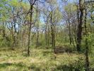 Annonce Vente Terrain Monteils