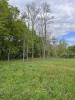 Acheter Maison Louchats Gironde