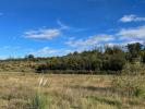 Land  LOTISSEMENT