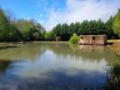 Annonce Vente Terrain