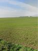 Land VILLEDOUX 