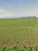 Land VILLEDOUX 