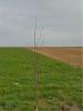 Acheter Terrain 300 m2 Saint-xandre