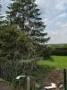 Acheter Maison 93 m2 Damelevieres