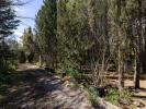 Acheter Maison Plaissan Herault