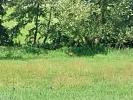 Annonce Vente Terrain