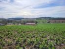 For sale Land Puycasquier 32120