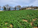 Annonce Vente Terrain 