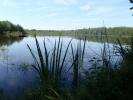 Annonce Vente Terrain Citers