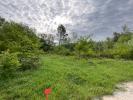 Acheter Terrain 1200 m2 Saint-genies-de-comolas