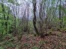 Annonce Vente Terrain Tulle