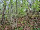 Acheter Terrain 12706 m2 Tulle