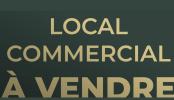 Annonce Vente Commerce Noyal-sur-vilaine
