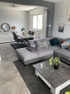 Location Appartement 2 pices COLMAR 68000