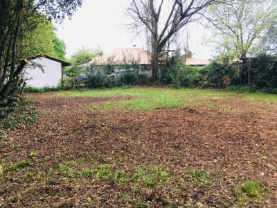 Vente Terrain CESTAS  33