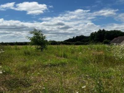 Vente Maison ALLERIOT  71