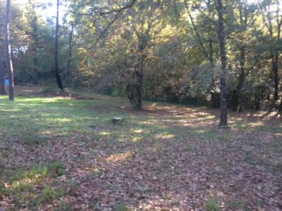 photo For sale Land SANGUINET 40