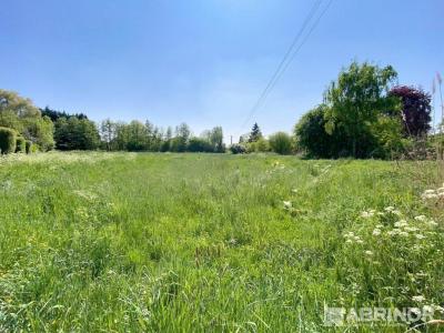 For sale Land ORCHIES  59