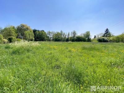 For sale Land ORCHIES  59