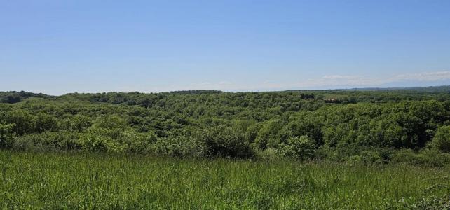 photo For sale Land ORDAN-LARROQUE 32