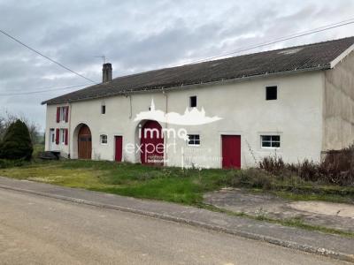 Vente Maison SAULXURES-LES-BULGNEVILLE  88
