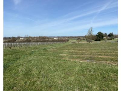 For sale Land SAINT-GERMAIN-DU-PUCH  33