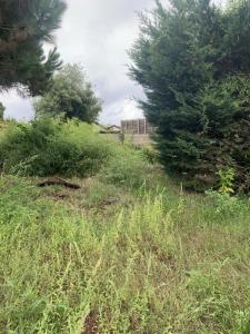 Vente Terrain GUJAN-MESTRAS  33