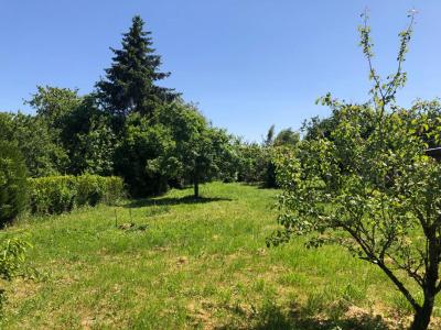 For sale Land BETON-BAZOCHES  77