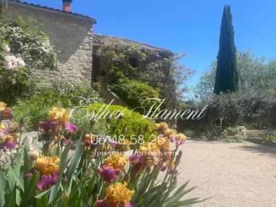 Vente Prestige ANDUZE  30