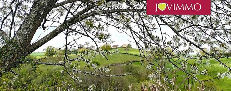 For sale House MONTAIGUT  63